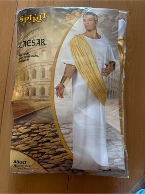 Spirit Adult Caesar Costume - White and Gold